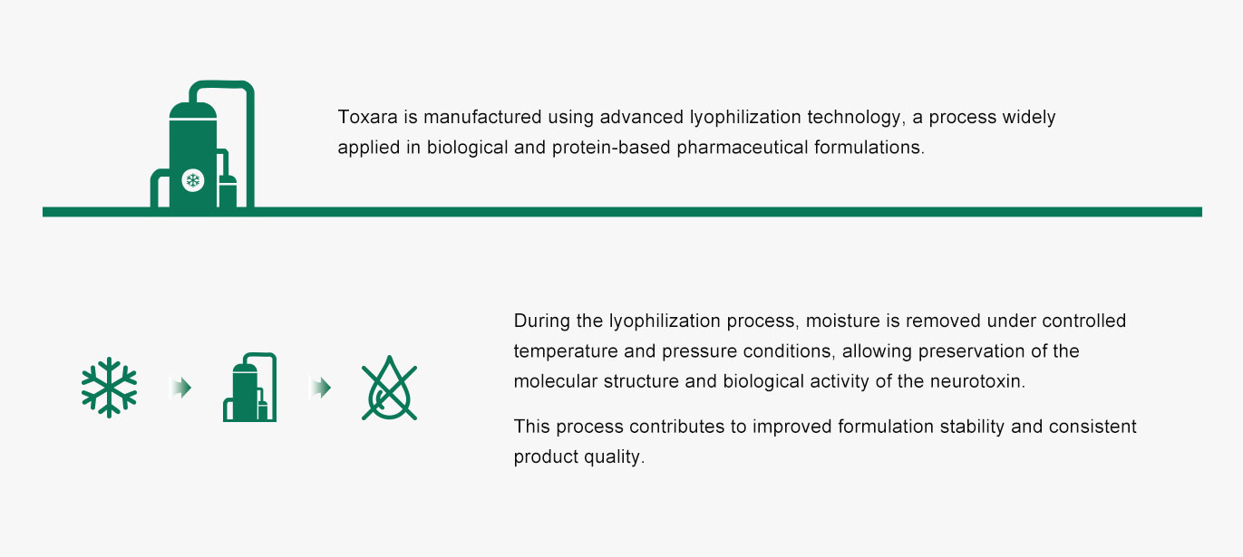 botulinum toxin production process